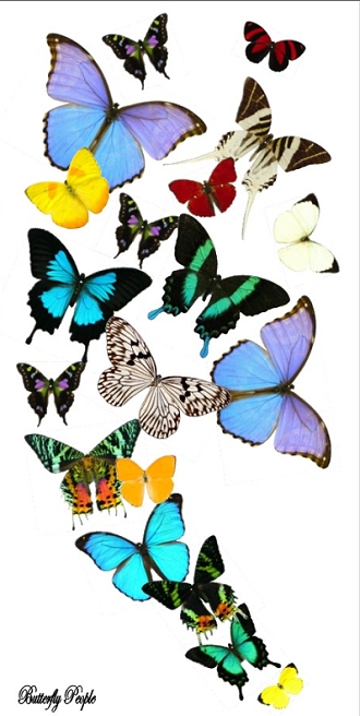14x28cemil02