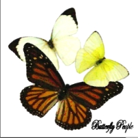 5x5x2monarch - 202